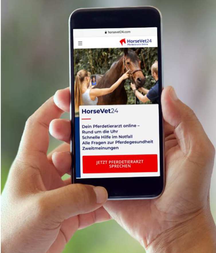 HorseVet24 – wenn Tierarzt*ärztinnen via Handy beraten