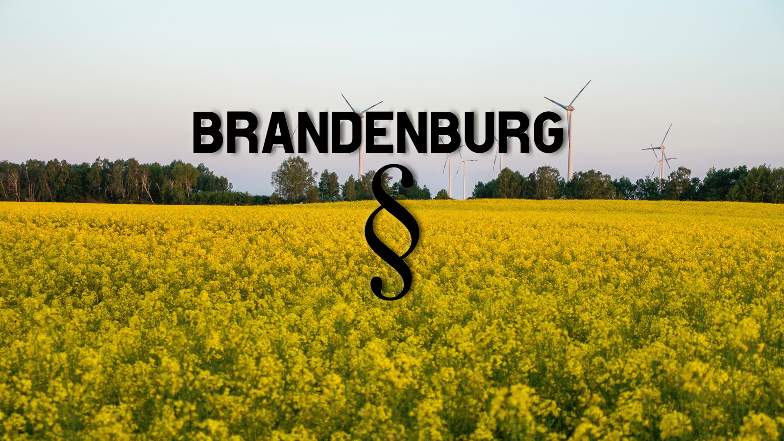 Brandenburg: Rechtliche Rahmenbedingungen beim Reitplatzbau